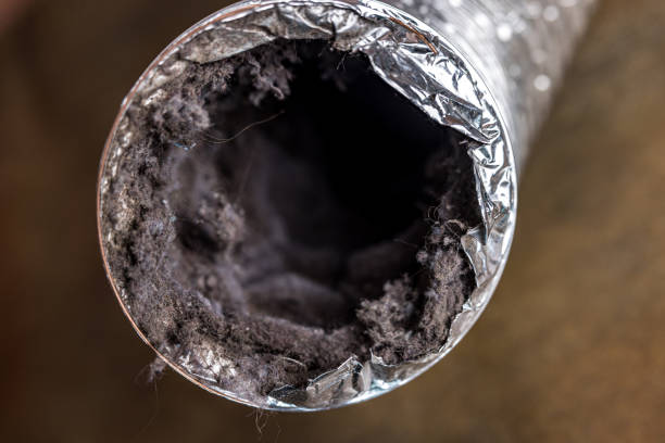 Best Air Duct Cleaning Near Me  in Fitchburg, MA